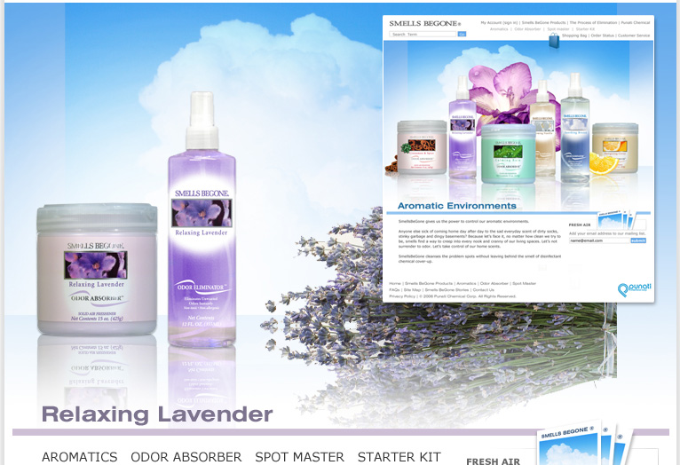 Ultimate Cleaners: SmellsBeGone -  Website
